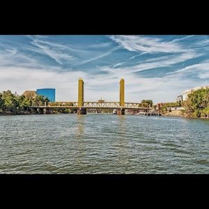 Meet your Posher, Rex